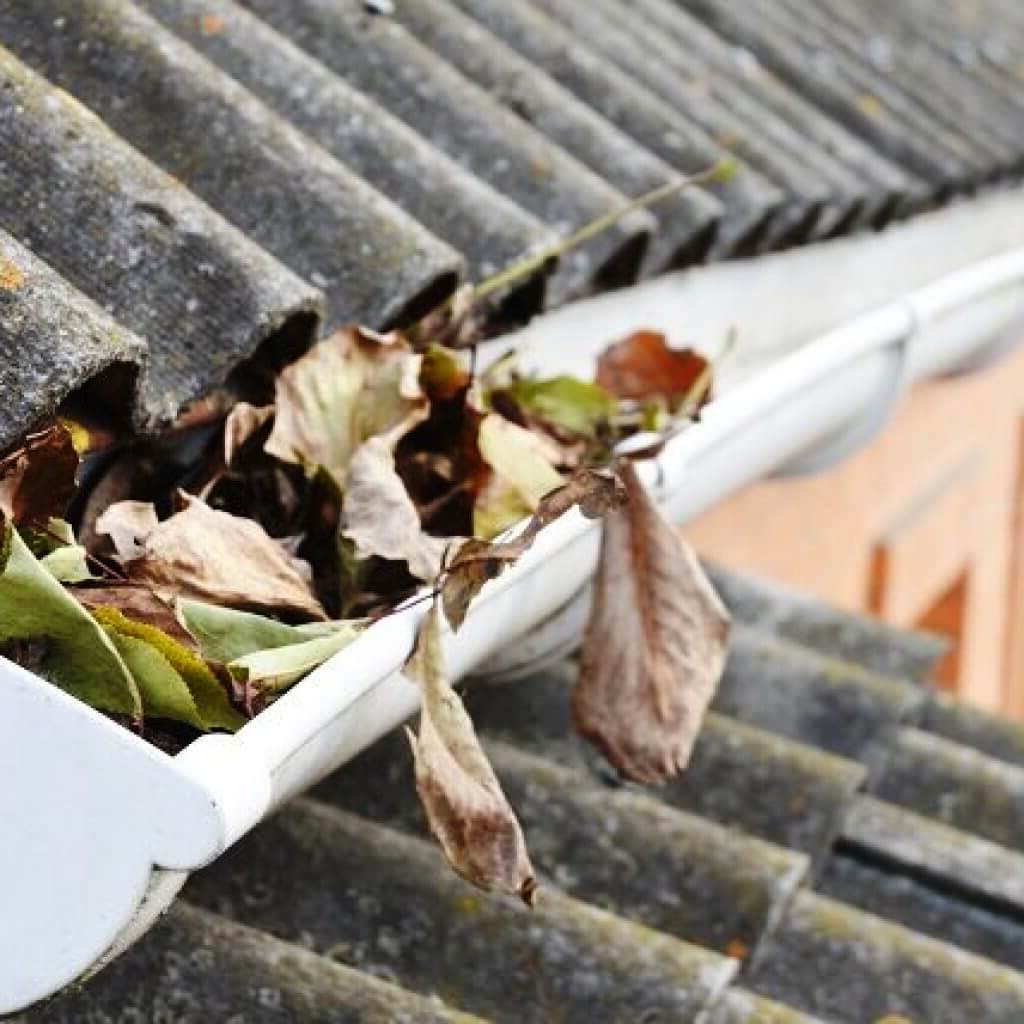 desentupimento de algerozes